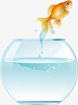 白色鱼鱼从水缸中跳出水花高清图片
