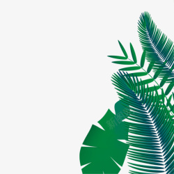 热带雨林植物手绘边框素材