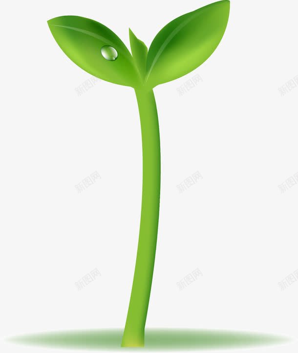 绿色小树苗png免抠素材_88icon https://88icon.com 叶子 大树 小树 成长过程 新芽 树 树木 树苗 植物 绿色 绿色植物 茁壮成长