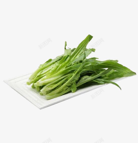 油麦菜png免抠素材_88icon https://88icon.com 产品实物 油麦菜 绿色 莴笋 蔬菜 青菜