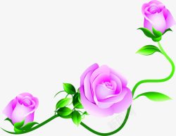 粉色玫瑰缤纷春天花朵素材