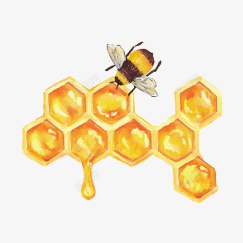 卡通手绘蜜蜂与蜂蜜png免抠素材_88icon https://88icon.com 动物 卡通 可爱 手绘 简约 蜂类 蜂蜜 蜜蜂 食物