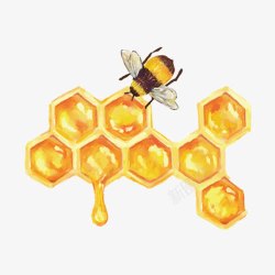 蜜蜂可爱卡通手绘蜜蜂与蜂蜜高清图片