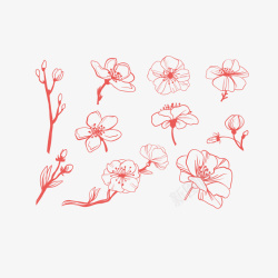 线条花朵素材手绘简约线条腊梅高清图片
