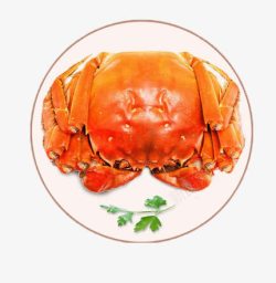 海鲜绿色食品盘子里的大闸蟹高清图片