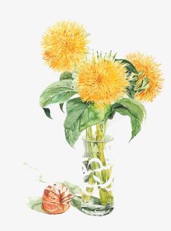 手绘小雏菊素材