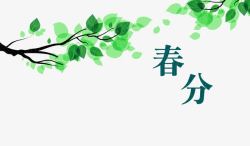 二十四节气之春分绿叶萌芽素材