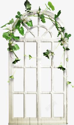 缠绕的花藤白色花藤缠绕的门窗高清图片