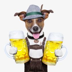 啤酒酒花拿着啤酒的狗狗高清图片