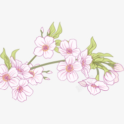 时尚手绘樱花插画矢量图素材