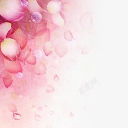 粉色手绘水彩花瓣露珠素材