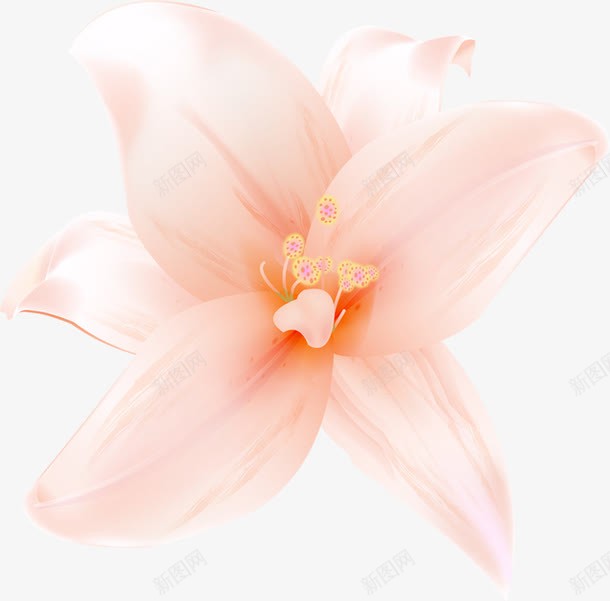粉色盛开百合婚礼png免抠素材_88icon https://88icon.com 婚礼 百合 盛开 粉色