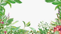 清新淡雅水彩手绘花卉绿叶边框素材