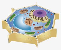 彩色生物医学细胞PPT元素素材