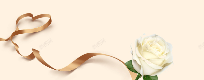 金色质感丝带白玫瑰背景背景