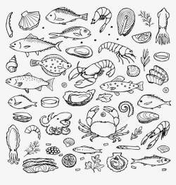 草类各种海鲜类食物高清图片