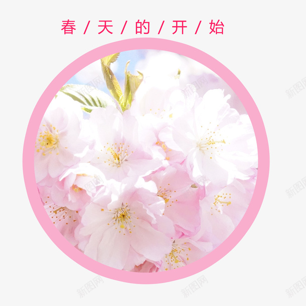 春天粉色的花朵艺术字psd免抠素材_88icon https://88icon.com 免抠花瓣 春天 春天来了 粉色的 艺术字 花朵 花环