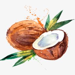 画水果手绘水彩椰子高清图片