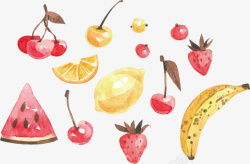 精美的彩绘水果矢量图素材