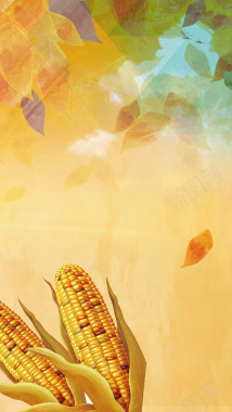 彩色夏季丰收玉米H5背景背景