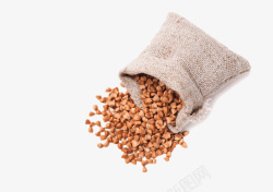 袋子里的苦荞麦杂粮素材