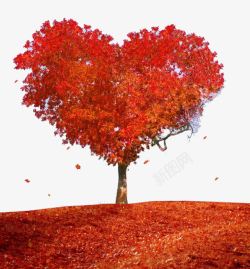 水彩秋叶红叶树高清图片