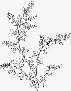手绘装饰线描植物图案矢量图素材