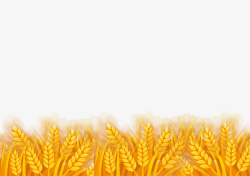 金黄色的稻谷金黄小麦麦田元素高清图片