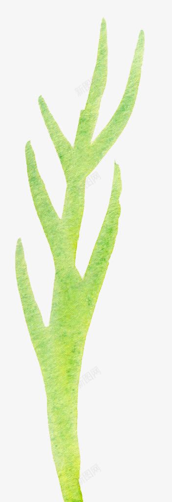 手绘水彩花装饰元素png免抠素材_88icon https://88icon.com 婚礼卡片设计素材 手绘复古绿叶 手绘精致花边 水墨水彩植物 浪漫绿叶花朵 绿叶插画元素