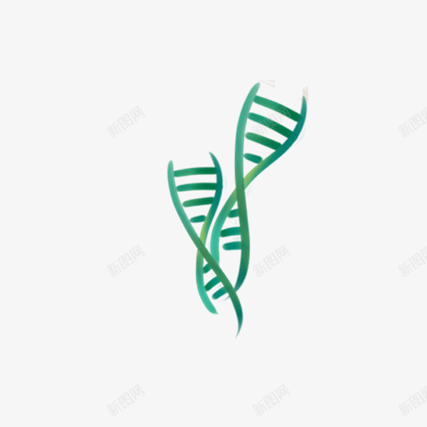 卡通的两条DNApng免抠素材_88icon https://88icon.com DNA双螺旋结构图片 医疗 卡通 绿色