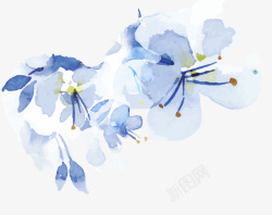 彩绘促销矢量图蓝色手绘水彩花朵高清图片
