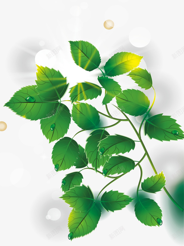 绿色树叶发光背景装饰图案矢量图ai免抠素材_88icon https://88icon.com 发光背景 春天 春天免费下载 树叶 绿色 装饰图案 矢量图