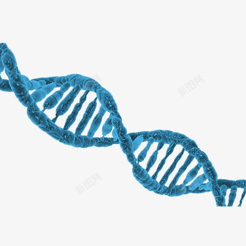 蓝色简约装饰DNApsd免抠素材_88icon https://88icon.com DNA DNA双螺旋结构图片 医疗 双螺旋 感兴趣 生物医学工程 空间感