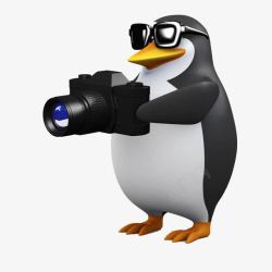 企鹅透明元素拿着相机的企鹅高清图片