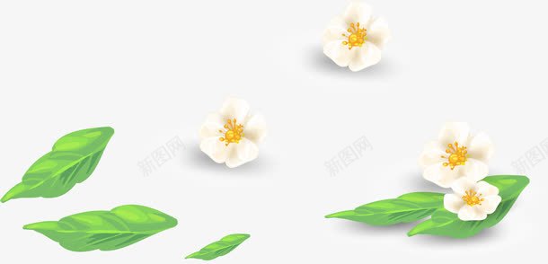 手绘白色的花朵png免抠素材_88icon https://88icon.com 叶子 手绘 散落的白色花朵 栀子花 树叶 绿色