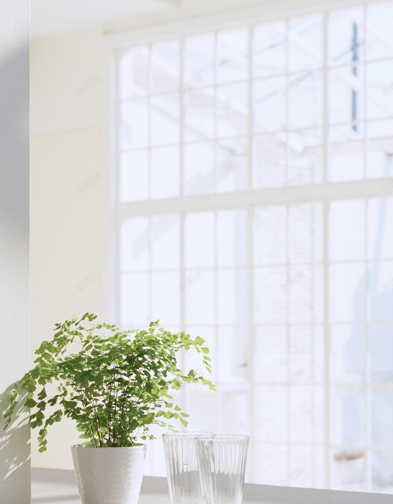 小清新家居窗台H5背景jpg设计背景_88icon https://88icon.com H5背景素材 品质 实拍 家居 家庭园艺 小清新 生活场景 盆栽 窗台 近景