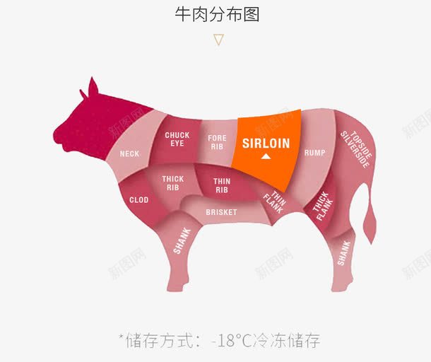 牛肉分布图png免抠素材_88icon https://88icon.com 牛图形 牛肉分布详图 牛肉详情页