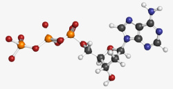 化学性红蓝色脱氧腺苷三磷酸分子形状素高清图片