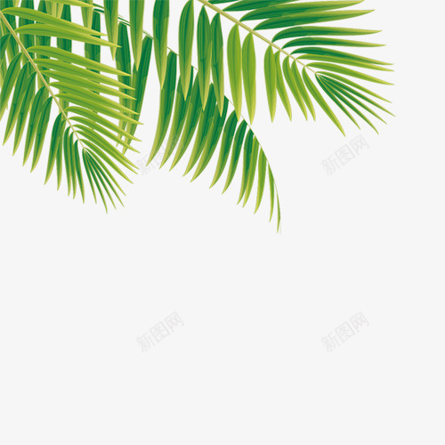 绿色热带植物卡通插画psd免抠素材_88icon https://88icon.com 卡通插画 叶子 植物 气候 温度 热带 绿色 设计