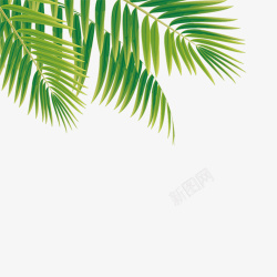 气候问题绿色热带植物卡通插画高清图片