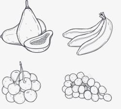 水果素描手绘水果线稿高清图片
