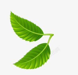 绿色简单背景卡通装饰树叶矢量图高清图片