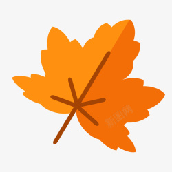 秋天植物一片扁平化的枫叶高清图片