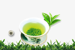 春茶海报绿色清新泡茶插画高清图片