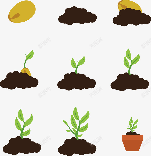卡通秋分植物发芽过程插画矢量图ai免抠素材_88icon https://88icon.com 农作物种子 插画 植物发芽过程 矢量图 秋天 秋天植物 秋季 秋种 种子 豆子发芽