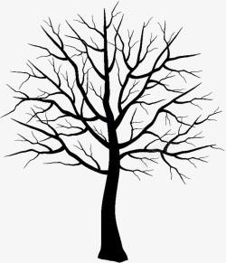 一棵树的一颗枯树的剪影高清图片