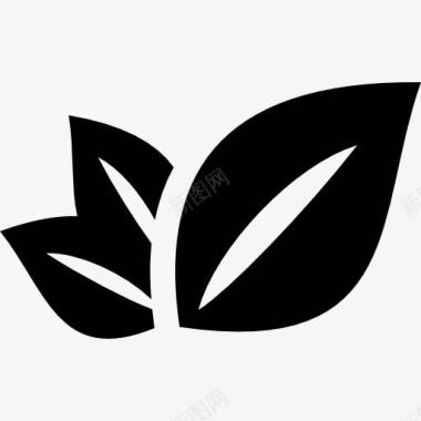 菊花茶叶三植物叶片图标图标