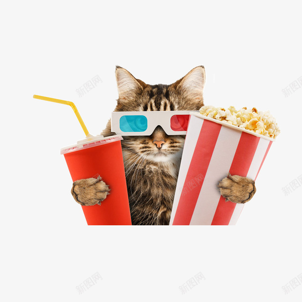 看电影的猫png免抠素材_88icon https://88icon.com 可乐 带3D眼镜的猫 幽默谐趣 戴眼镜的猫 拟人化 爆米花 猫