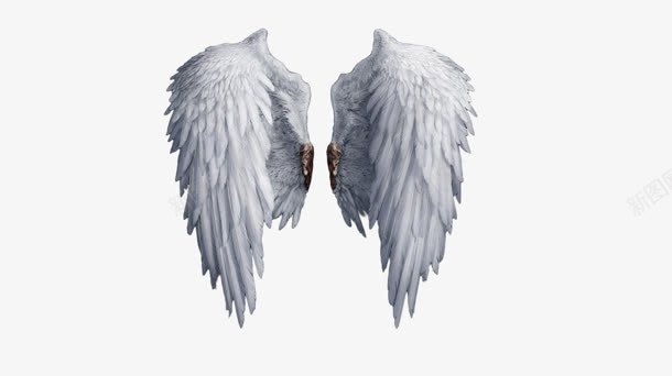 翅膀白色翅膀模板天使png免抠素材_88icon https://88icon.com 天使 模板 白色 翅膀