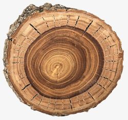 棕色木盘带裂纹的旧木块实物素材